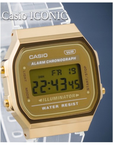 Casio Digitale